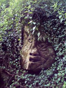 One of the many creatures carved in the rocks...